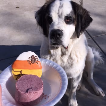 Pet Scene Bath and Boutique - Pet Groomers Near Me - Yucaipa, California