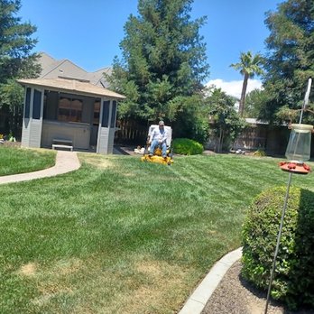 Nolasco Landscaping & Tree Services - a man mowing the lawn - Tree Services Near Me