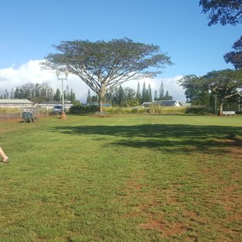 Mililani Dog Park - Trees for shade - Dog Parks Near Me - Mililani, Hawaii