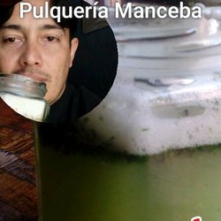 Pulquería Manceba