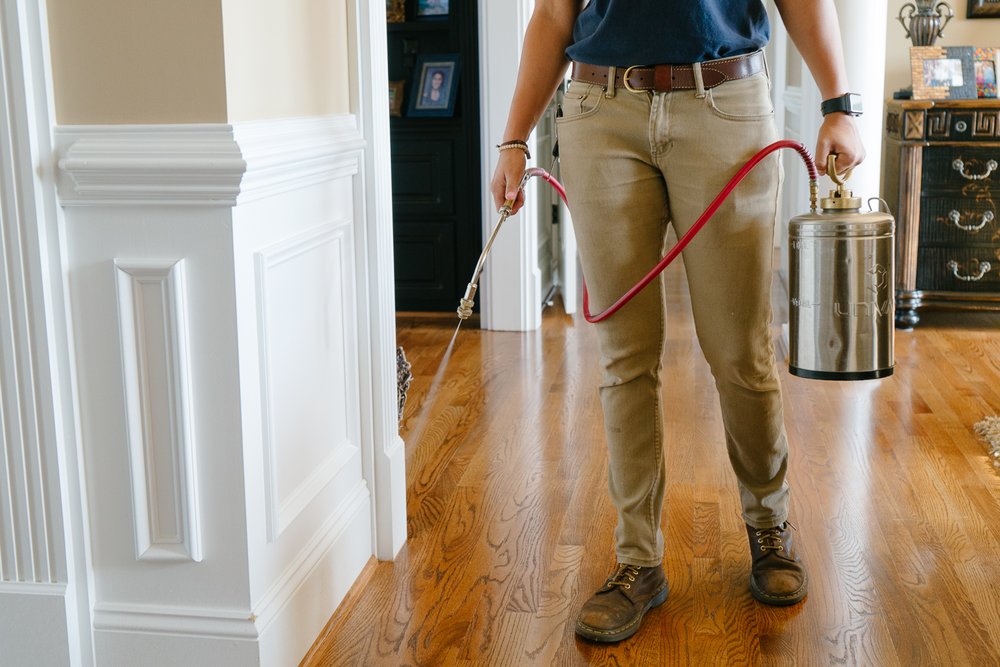 THOMPSON BROTHERS EXTERMINATING AND WATERPROOFING Updated August 2024