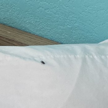 Vagabond Inn - Buttonwillow North I-5 - The place was COVERED in flies! - Hotels Near Me - Buttonwillow, California