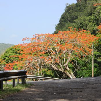 Tunnel Guajataca - Landmarks & Historical Buildings Near Me - Isabela, Puerto Rico Tunnel Guajataca - Landmarks & Historical Buildings Near Me - Isabela, Puerto Rico