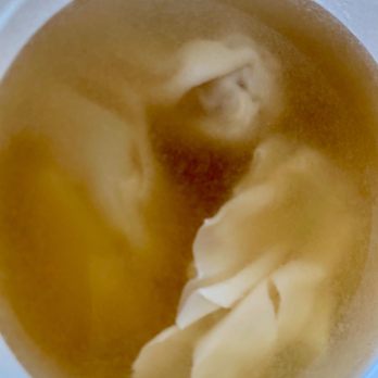 Scarborough Buffet - Wonton Soup - Buffets Near Me - Scarborough, Ontario