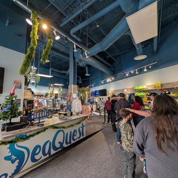 SeaQuest - Folsom - Aquariums Near Me - Folsom, California SeaQuest - Folsom - Aquariums Near Me - Folsom, California