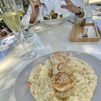 Fiori - Sea scallop Saffron Risotto - Italian Near Me - Houston, Texas Fiori - Sea scallop Saffron Risotto - Italian Near Me - Houston, Texas