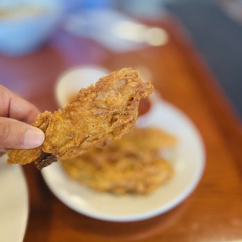 Manna Kitchen - a hand holding a piece of fried chicken - Vegan Near Me - Lisle, Illinois