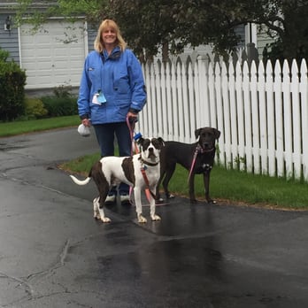 Dependable Pet Sitter - Pet Sitting Near Me - Mundelein, Illinois Dependable Pet Sitter - Pet Sitting Near Me - Mundelein, Illinois