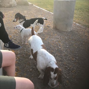 Heritage Bark Park - Dog Parks Near Me - Henderson, Nevada Heritage Bark Park - Dog Parks Near Me - Henderson, Nevada