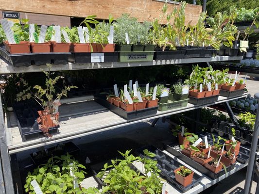 Portland Nursery by null