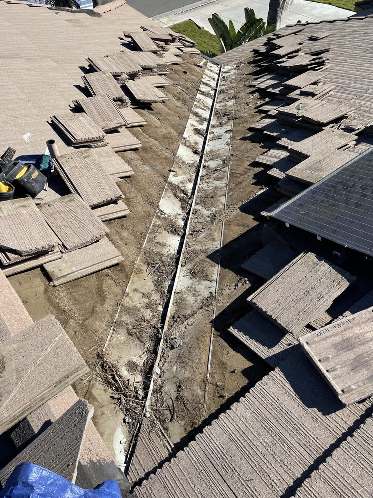 Slide of A J M D Mendoza