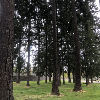Cedar Hills Park - Some of the Beauties at Cedar Hills Park. - Parks Near Me - Beaverton, Oregon Cedar Hills Park - Some of the Beauties at Cedar Hills Park. - Parks Near Me - Beaverton, Oregon