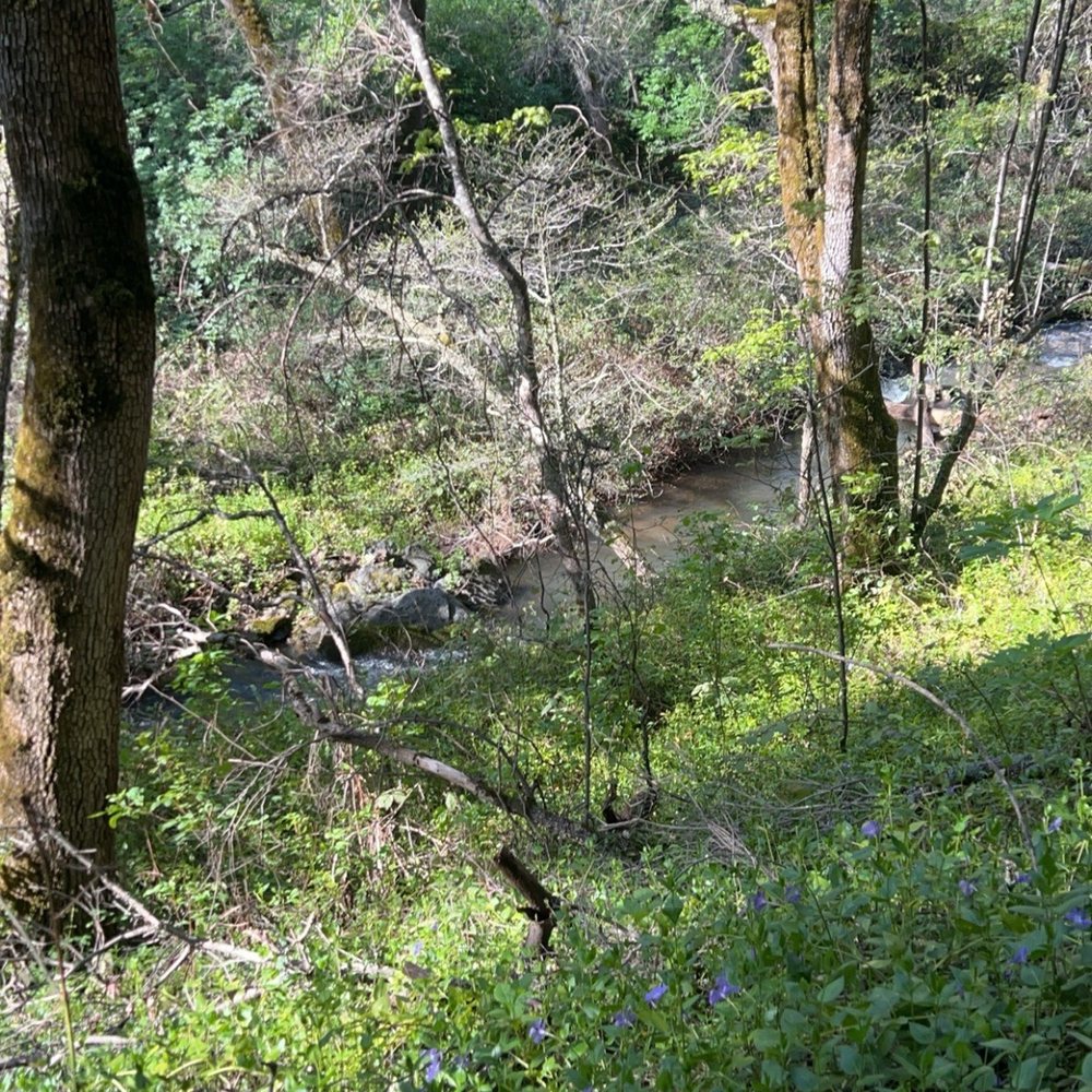 Hidden Falls Regional Park - Parks Near Me - Auburn, California
