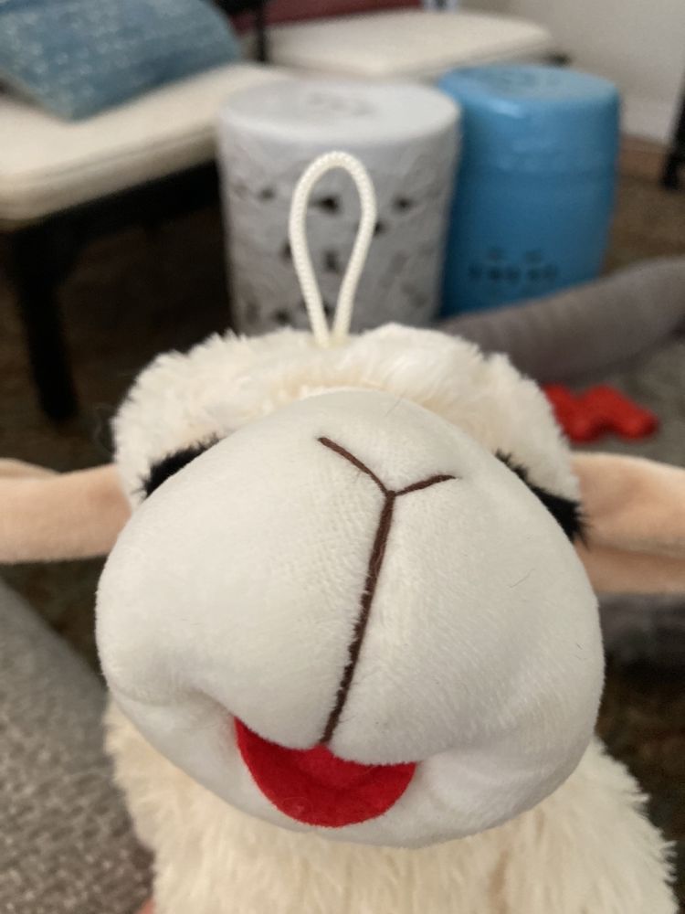 GLOBAL PET FOODS Updated August 2024 160 Highway 20 E, Fonthill