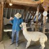 Alpacas of the Southwest gift card