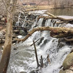 Whitnall Park Alpha Trail