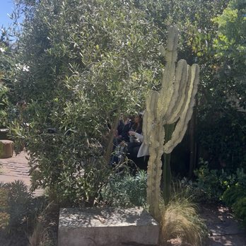 Black Bird Bookstore and Cafe - I wonder if the cactus could produce tequila ? - Bookstores Near Me - San Francisco, California