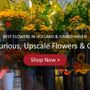 Photo of Huisman Flowers