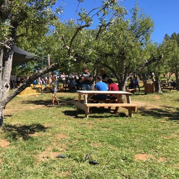 Rainbow Orchards - You get to go sit in the apple orchard to eat - Fruits & Veggies Near Me - Camino, California Rainbow Orchards - You get to go sit in the apple orchard to eat - Fruits & Veggies Near Me - Camino, California
