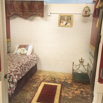 Mary's Bed and Biscuit - Royal Suite at Mary's Bed & Biscuit - Pet Groomers Near Me - Slidell, Louisiana