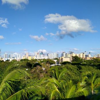 Miami Marlins - View of the Miami skyline - Professional Sports Teams Near Me - Miami, Florida