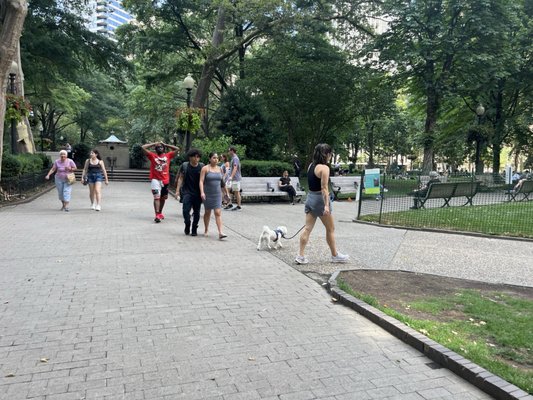 Rittenhouse Square by null