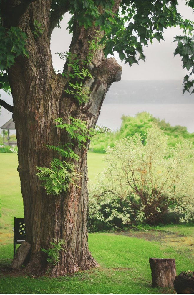 Slide of ELS Project Management