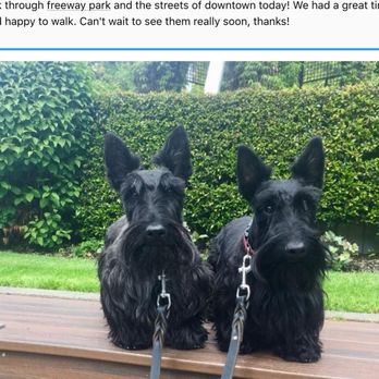 Happy Hound Pet Salon - Nina and Hamilton - Pet Services Near Me - Dripping Springs, Texas
