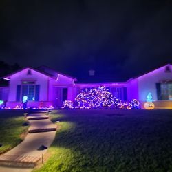 Perfect Holiday Lights
