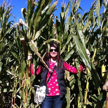 Pine Tree Apple Orchard - Corn maze - Bakeries Near Me - White Bear Lake, Minnesota Pine Tree Apple Orchard - Corn maze - Bakeries Near Me - White Bear Lake, Minnesota