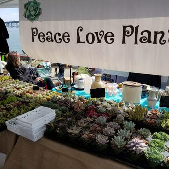 TreasureFest - Amazing selection and super healthy plants - Flea Markets Near Me - San Francisco, California TreasureFest - Amazing selection and super healthy plants - Flea Markets Near Me - San Francisco, California