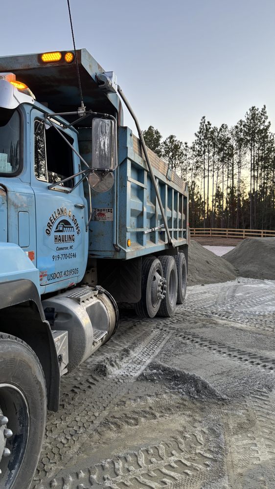 ORELLANA AND SONS HAULING - Updated June 2026 - Request a Quote - 3241 ...