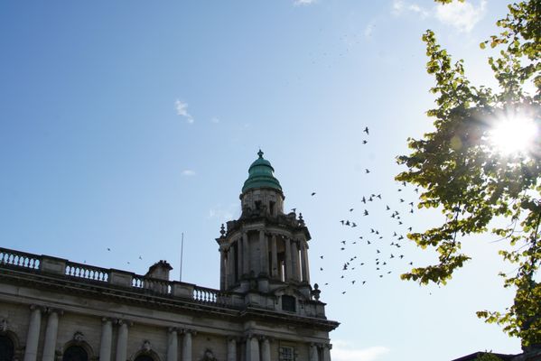 Belfast City Hall by null