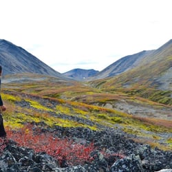 Boreal kennels - Summer Adventures.