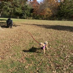 West Windsor Community Dog Park