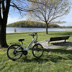 Cole's Bicycles - Like nothing ever happened.