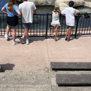 Lincoln Park Zoo - Zoos Near Me - Chicago, Illinois Lincoln Park Zoo - Zoos Near Me - Chicago, Illinois
