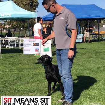 Sit Means Sit Dog Training - Training around distractions - Pet Training Near Me - Modesto, California