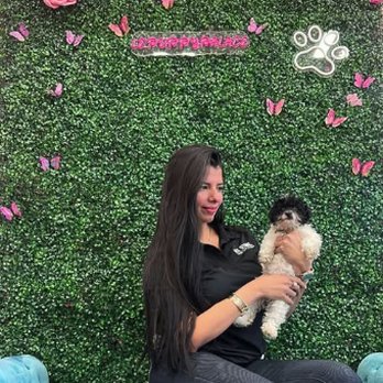 Le Puppy Palace - Pet Groomers Near Me - Eagle Lake, Florida Le Puppy Palace - Pet Groomers Near Me - Eagle Lake, Florida
