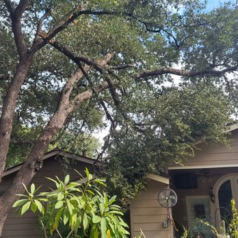 Mission City Arbor Group - Broken tree limb - Tree Services Near Me - San Antonio, Texas Mission City Arbor Group - Broken tree limb - Tree Services Near Me - San Antonio, Texas