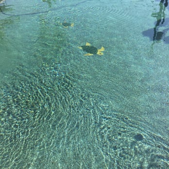 Splash Brothers Pool and Spa Service - Can't get any cleaner! And this is after 6 days! - Pool & Hot Tub Service Near Me Splash Brothers Pool and Spa Service - Can't get any cleaner! And this is after 6 days! - Pool & Hot Tub Service Near Me