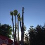 Photo of Club de Campo La Motilla