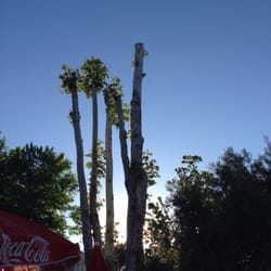 Club de Campo La Motilla