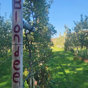 Libby & Son U-Pick - Pick Your Own Farms Near Me - Limerick, Maine