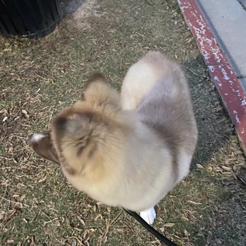 Barkin' Creek - Lamar - Pet Groomers Near Me - Austin, Texas
