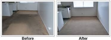 Excellent Carpet Cleaning