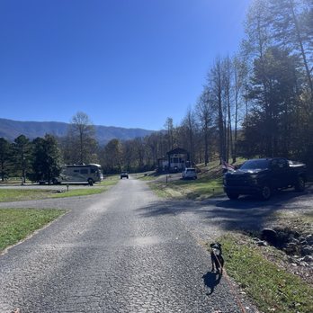 Honeysuckle Meadows RV Park - View up the road from campsite. - RV Parks Near Me - Sevierville, Tennessee Honeysuckle Meadows RV Park - View up the road from campsite. - RV Parks Near Me - Sevierville, Tennessee