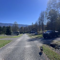 Honeysuckle Meadows RV Park - View up the road from campsite.