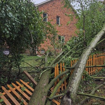 Roques Tree Service - Tree fell on fence - Tree Services Near Me - Commerce Township, Michigan Roques Tree Service - Tree fell on fence - Tree Services Near Me - Commerce Township, Michigan