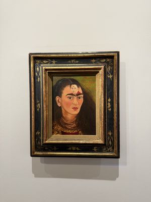 Museo de Arte Latinoamericano de Buenos Aires by null